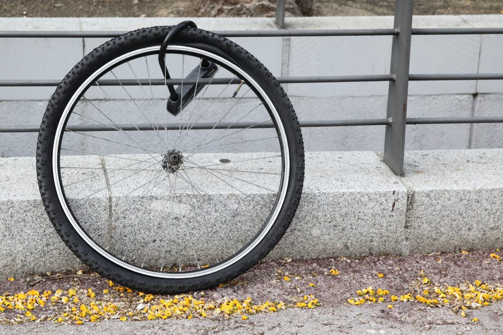 ruota della bicicletta